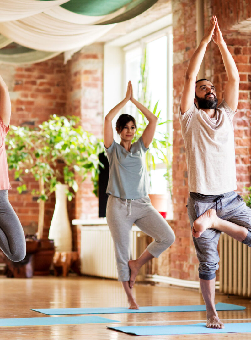 fitness, meditation and healthy lifestyle concept - group of people doing yoga in tree pose at studio