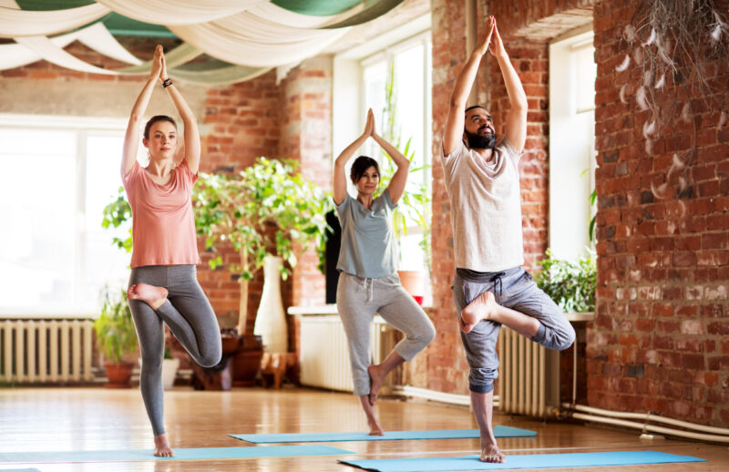 fitness, meditation and healthy lifestyle concept - group of people doing yoga in tree pose at studio